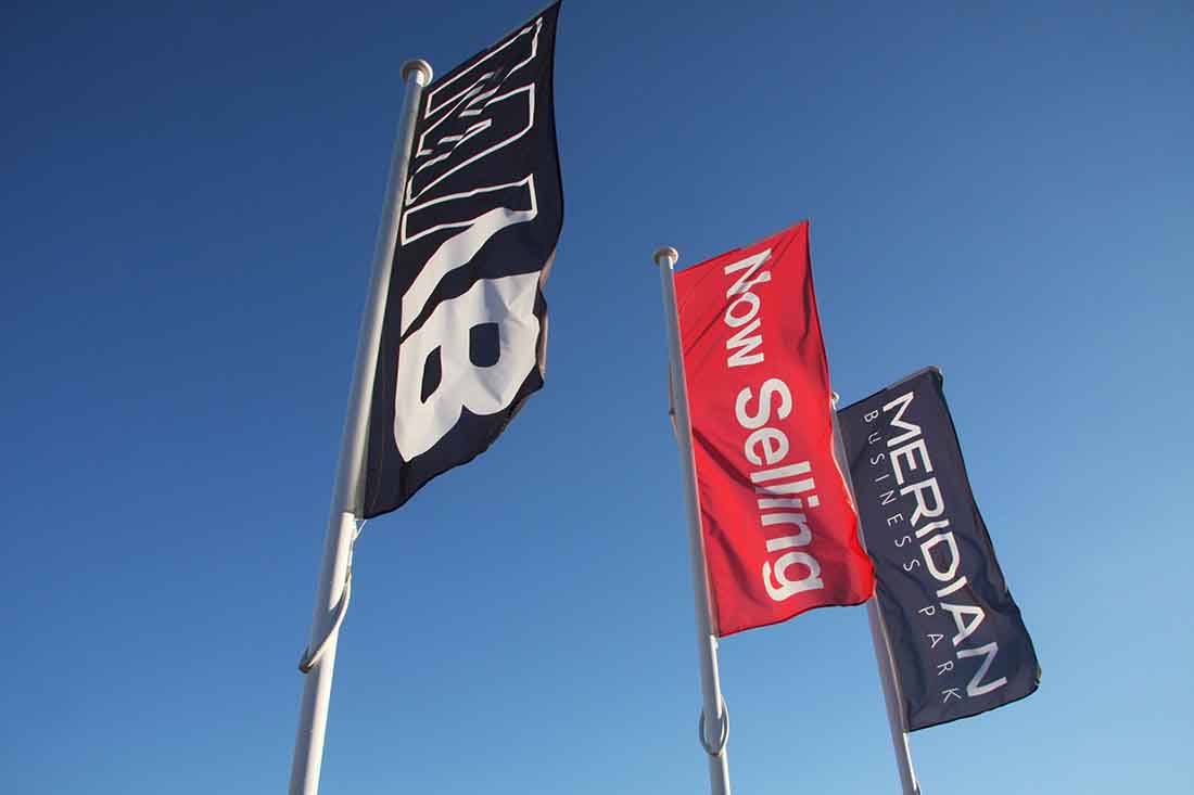 Extender Flags - Vivad